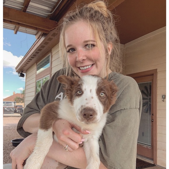 Meet your Posher, Savannah - Picture 1 of 1